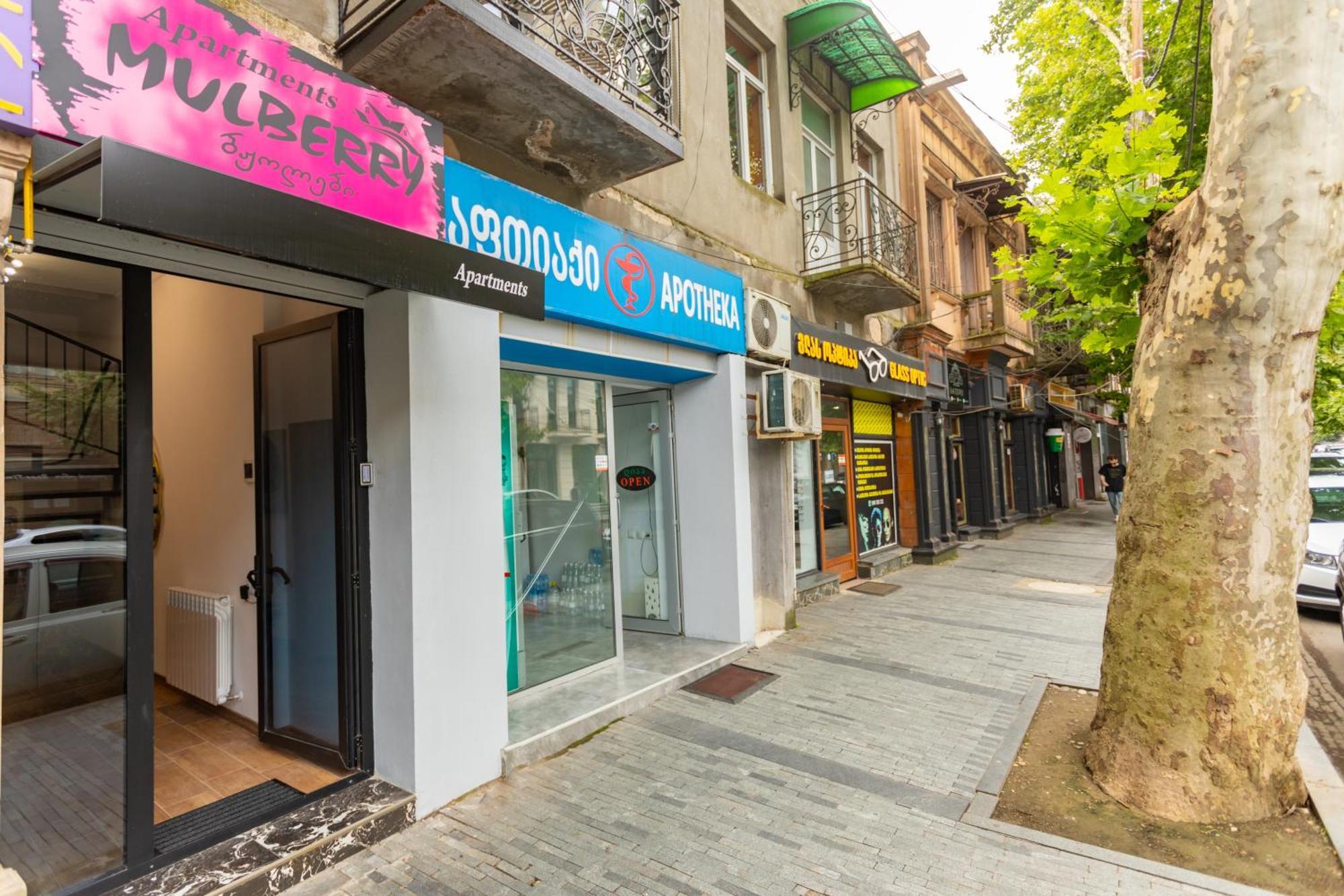 Mulberry Ბჟოლები Apartment Kutaisi Exterior photo